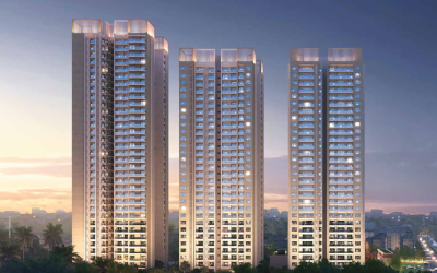Urban Majestic- Patia